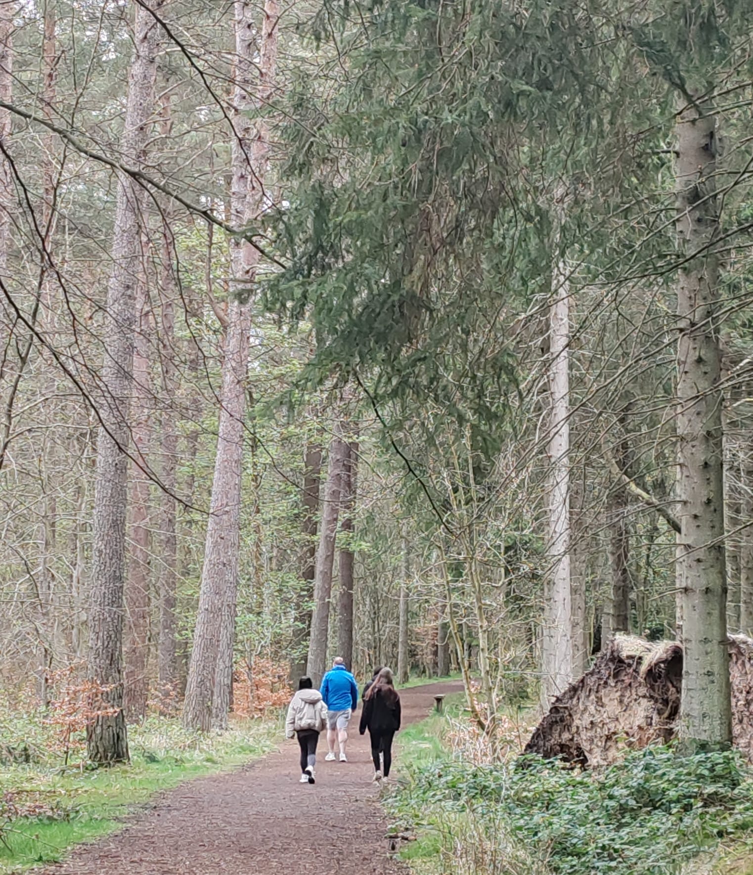 Heartland Media and PR's Perthshire public relations client, Wild CPD, is running sessions on Kinnoull Hill in Perth